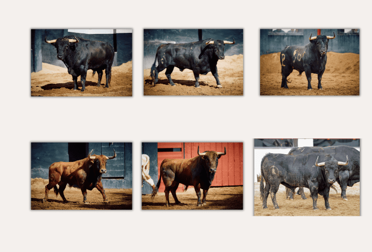 "Cazador" de Fuente Ymbro abre la segunda de la feria de Abril en Sevilla