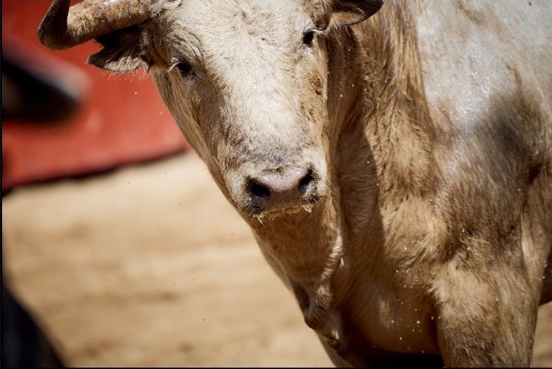 ‘Marginado’ abre la corrida de Victoriano del Río y Toros de Cortés en Sevilla