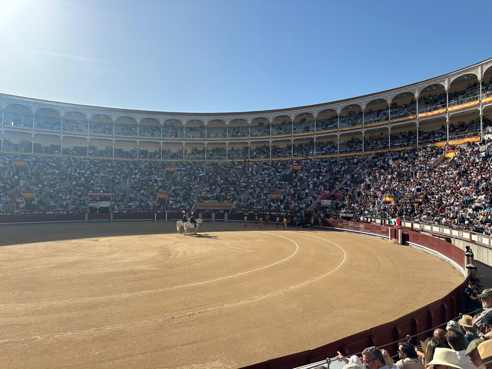 Sigue en directo la última novillada de San Isidro con Torolive