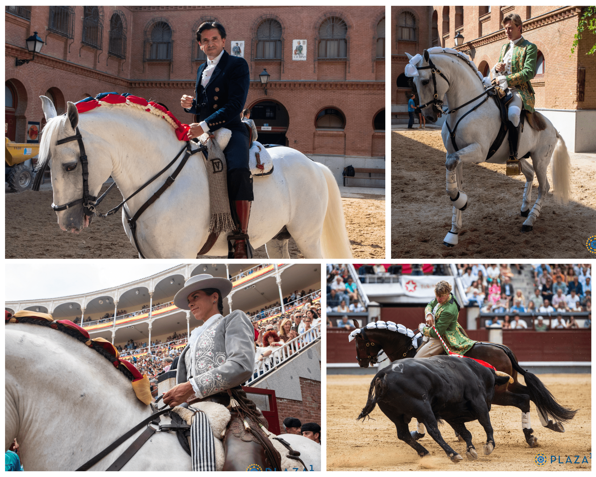 El mosaico de TOROLIVE de una tarde para Ventura: dos orejas y una exhibición de magisterio a caballo en Las Ventas