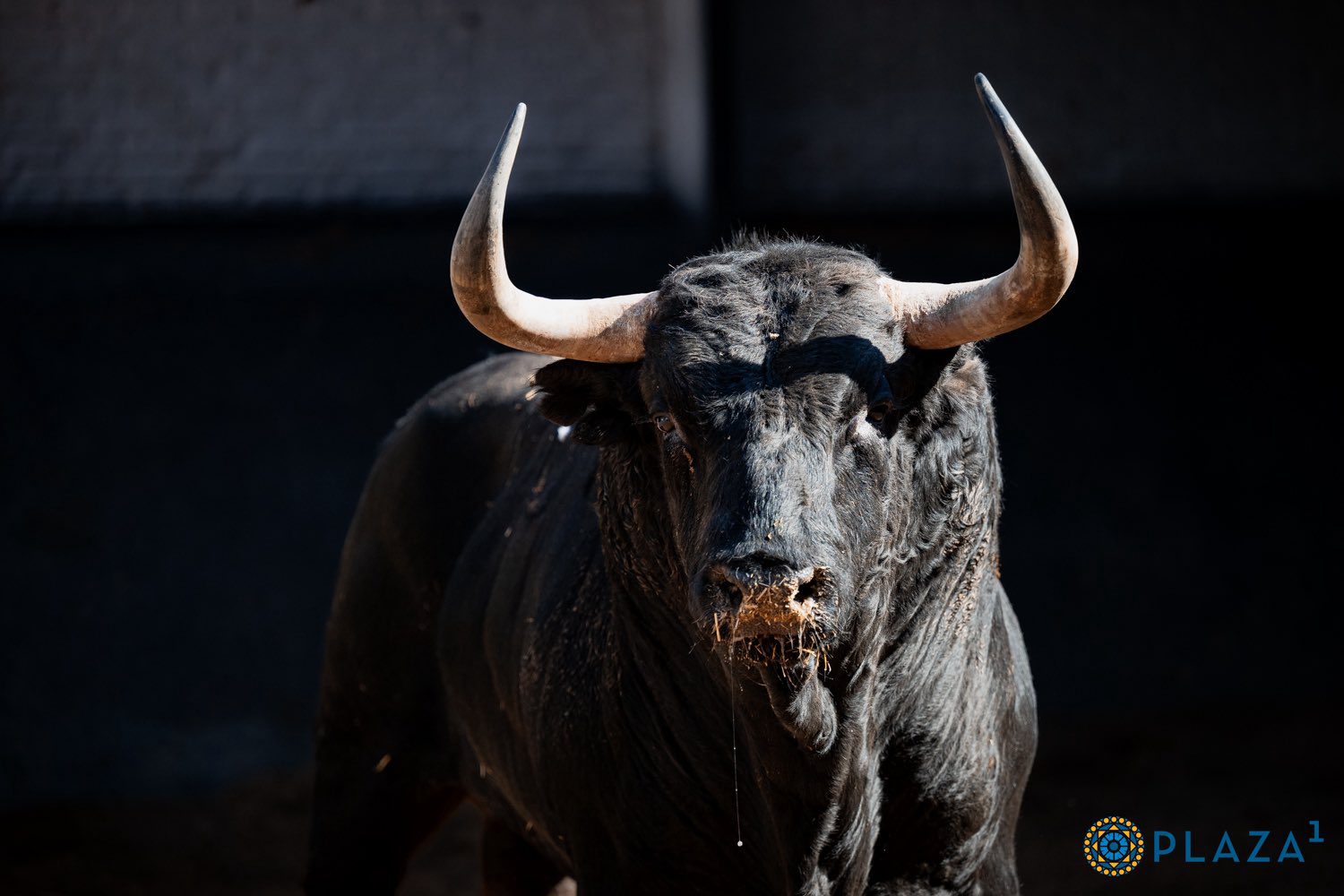 De «Orgulloso» a «Visitante» los seis de Garcigrande para esta tarde en Las Ventas