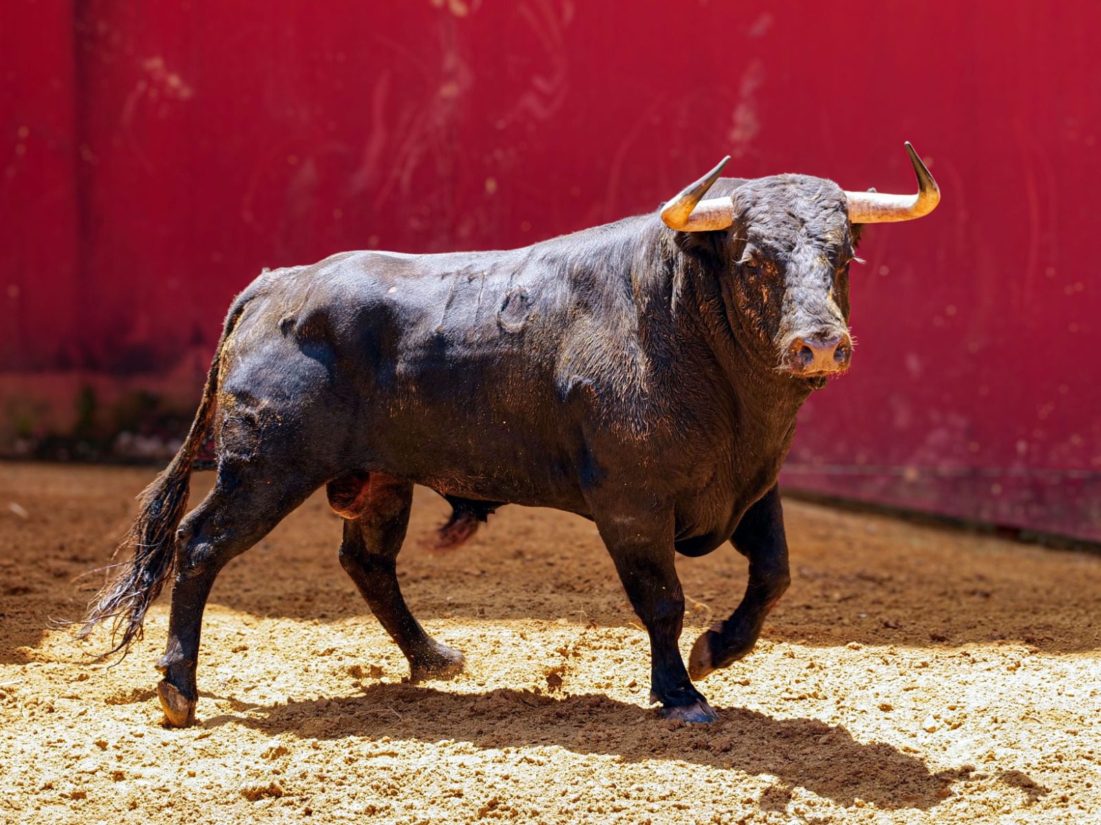'Cuarentaycinco' de Domingo Hernández cierra la feria en Córdoba
