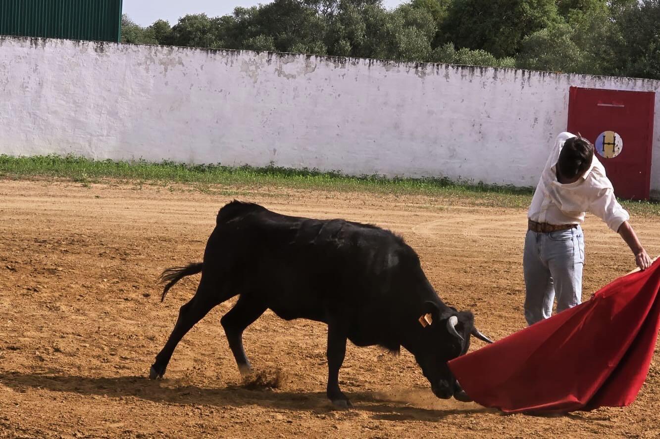 Emilio Silvera sigue creciendo en el campo bravo y deja una gran impresión en la ganadería de Cuadri