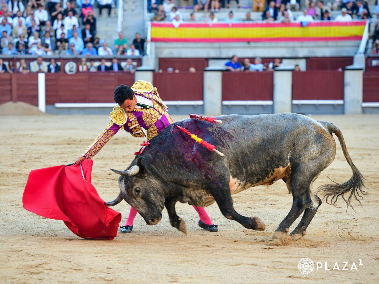 VENEGAS Y JUAN DE CASTILLA PONEN FIRMEZA EN UNA MANSA Y EXIGENTE CORRIDA DE SALTILLO