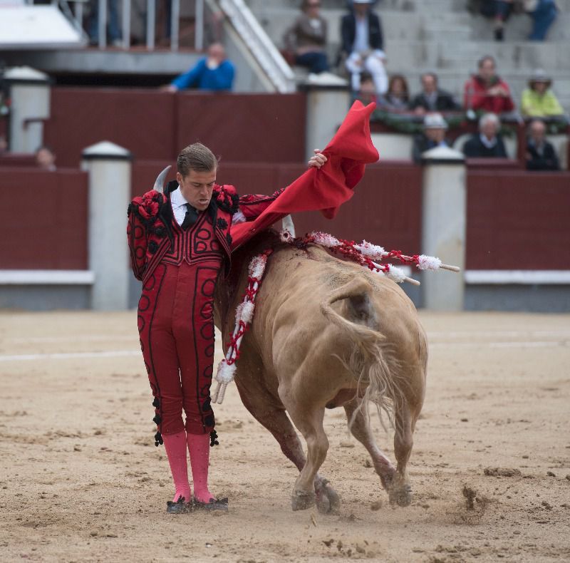 Javier Cortés regresa a Las Ventas, la Plaza que abandera su carrera
