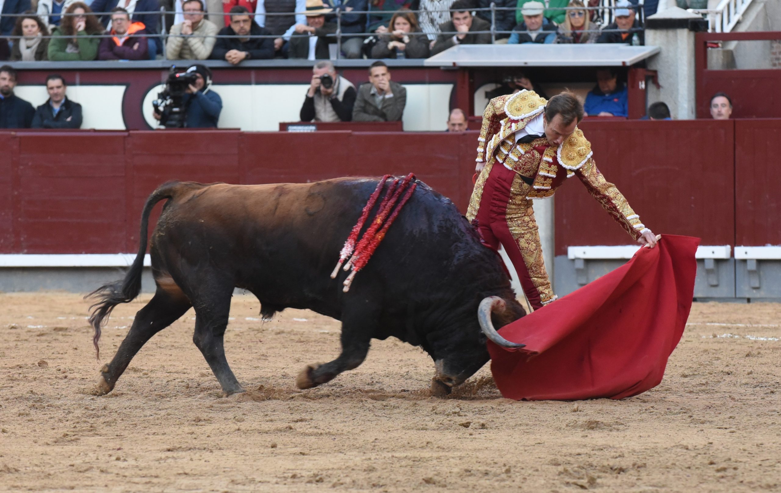 Entre la raza de Galván y la bravura de “Enarbolado” apareció Román