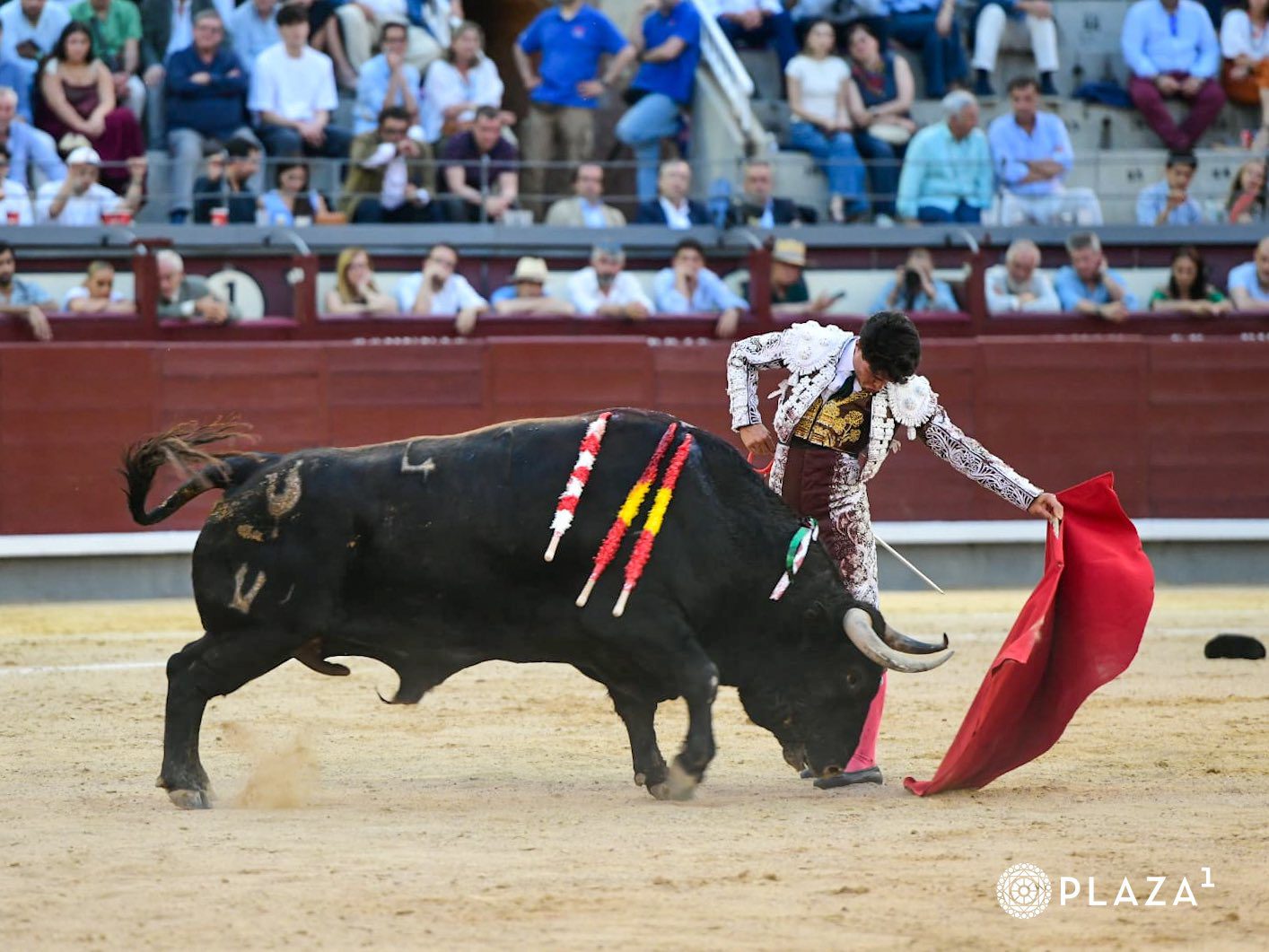 Jarocho destaca al natural con un encastado encierro de Pedraza de Yeltes