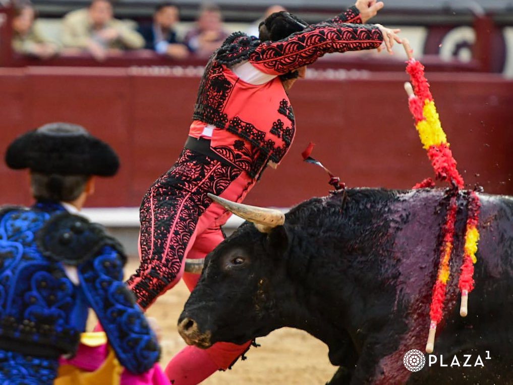Cornada en el muslo derecho con trayectoria de 25 cm y destrozo muscular en la femoral a Raúl Ruiz en Las Ventas
