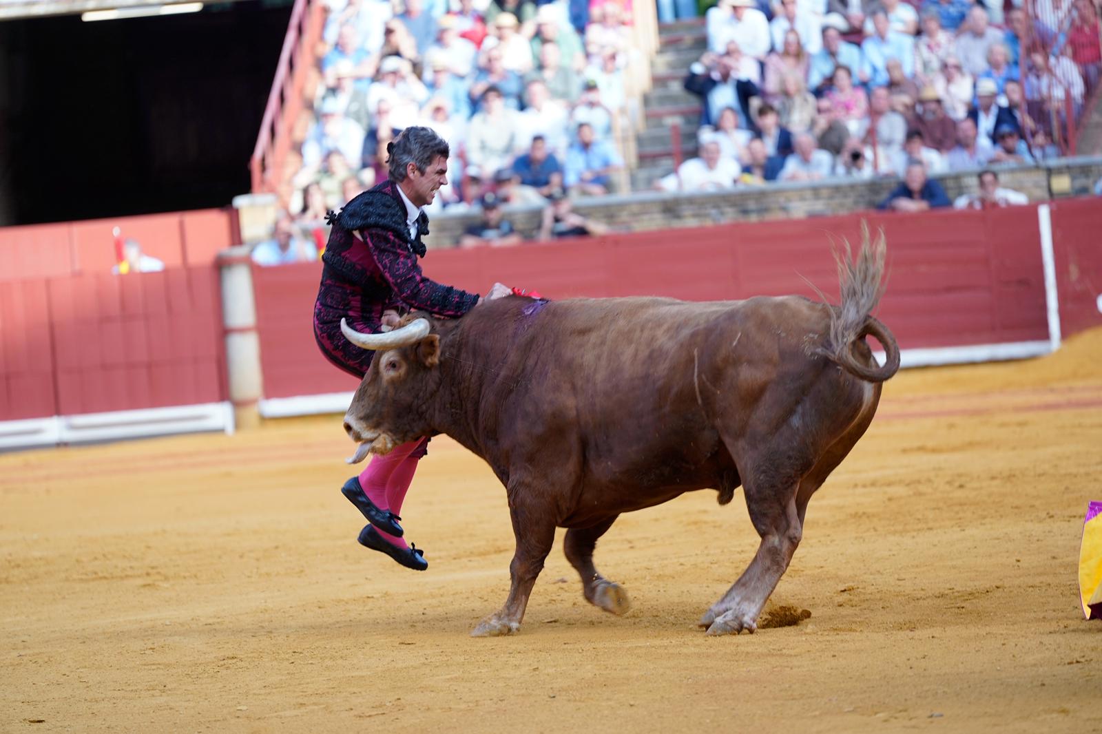 Fernando Pereira intervenido de una cornada con penetración abdominal en Córdoba