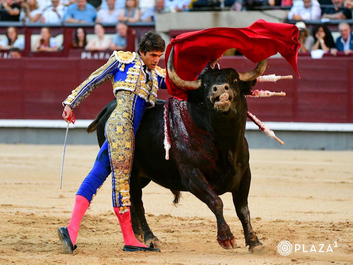 Castella firma la faena de más peso ante un gran ‘Cantaor’ de Victoriano del Río