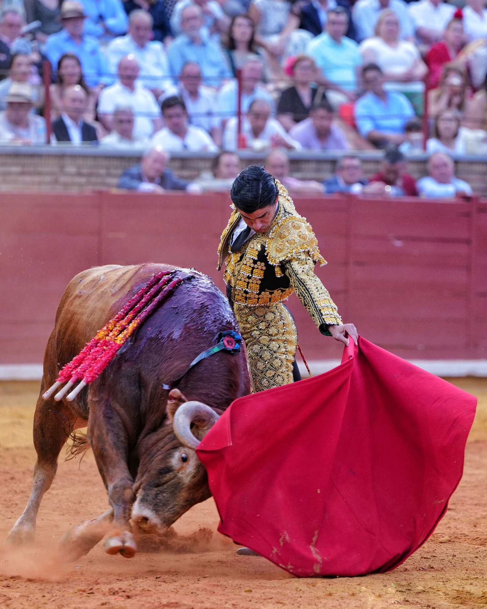 Aguado firma la mejor faena en Córdoba y Manzanares y Ortega quedan condicionados en un encierro de escaso fondo