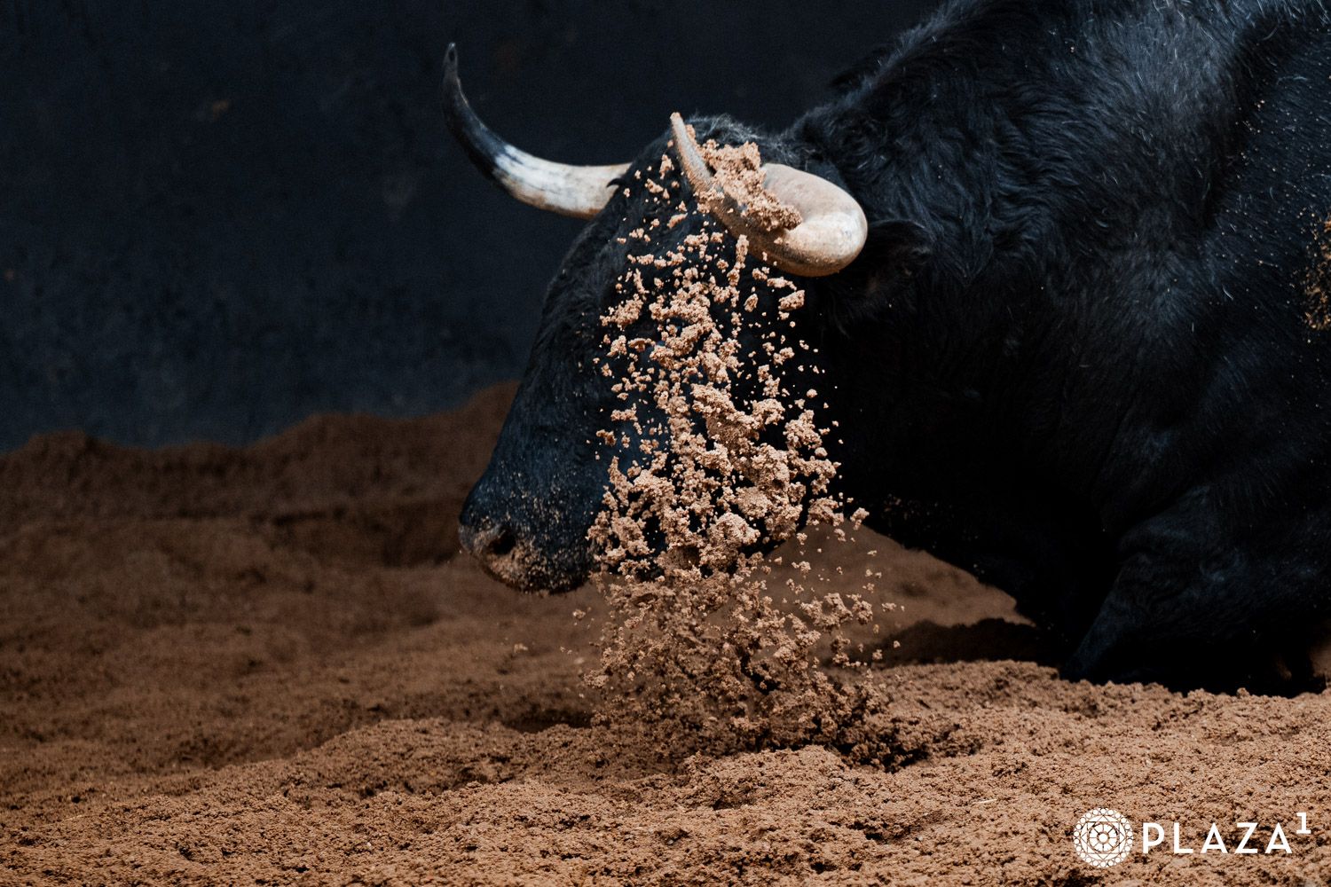 'Ventoso' de Núñez del Cuvillo abre San Isidro 2026 desde Las Ventas