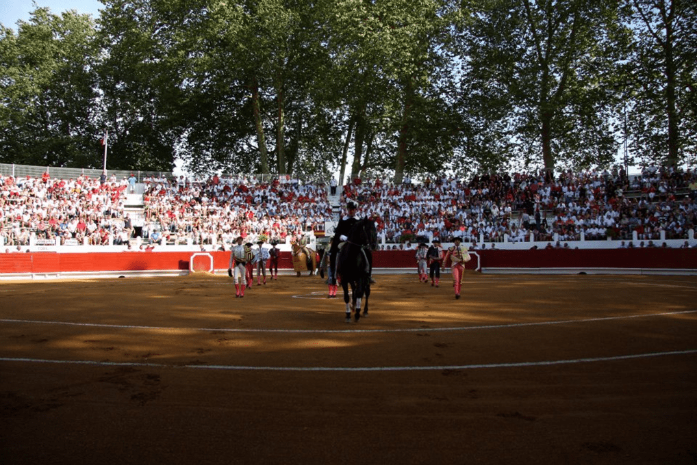 Tyrosse apuesta por la juventud y la renovación en su Corrida de las Fiestas 2026