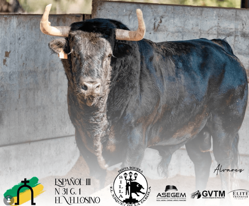 “Español III”, de las calles al ruedo: el toro anunciado para Silla que terminó lidiando Daniel Luque esta tarde en Madrid