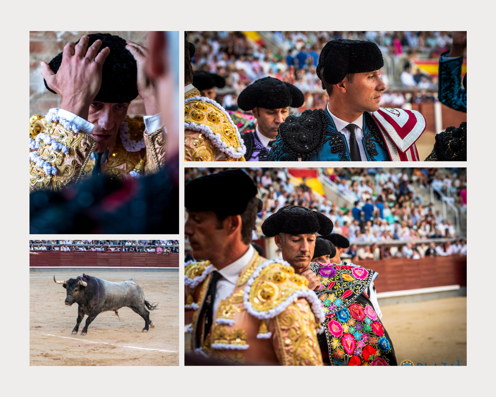 El mosaico de TOROLIVE de la tarde de José Escolar en Madrid: firmeza de Gómez del Pilar y una corrida de máxima exigencia