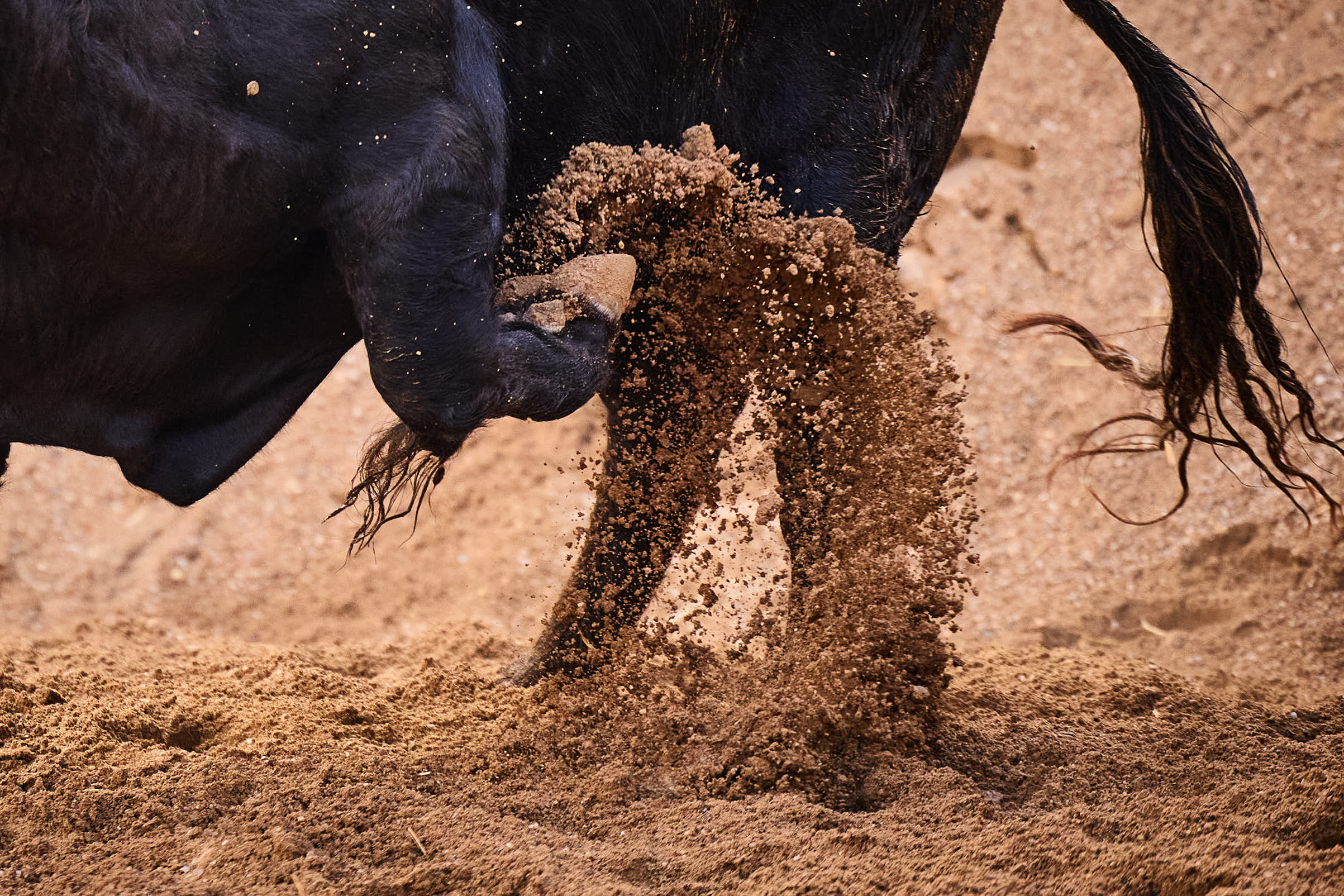 Un toro de Garcigrande y cinco de Hnos. García Jiménez y Olga Jiménez para la corrida del Corpus en Sevilla