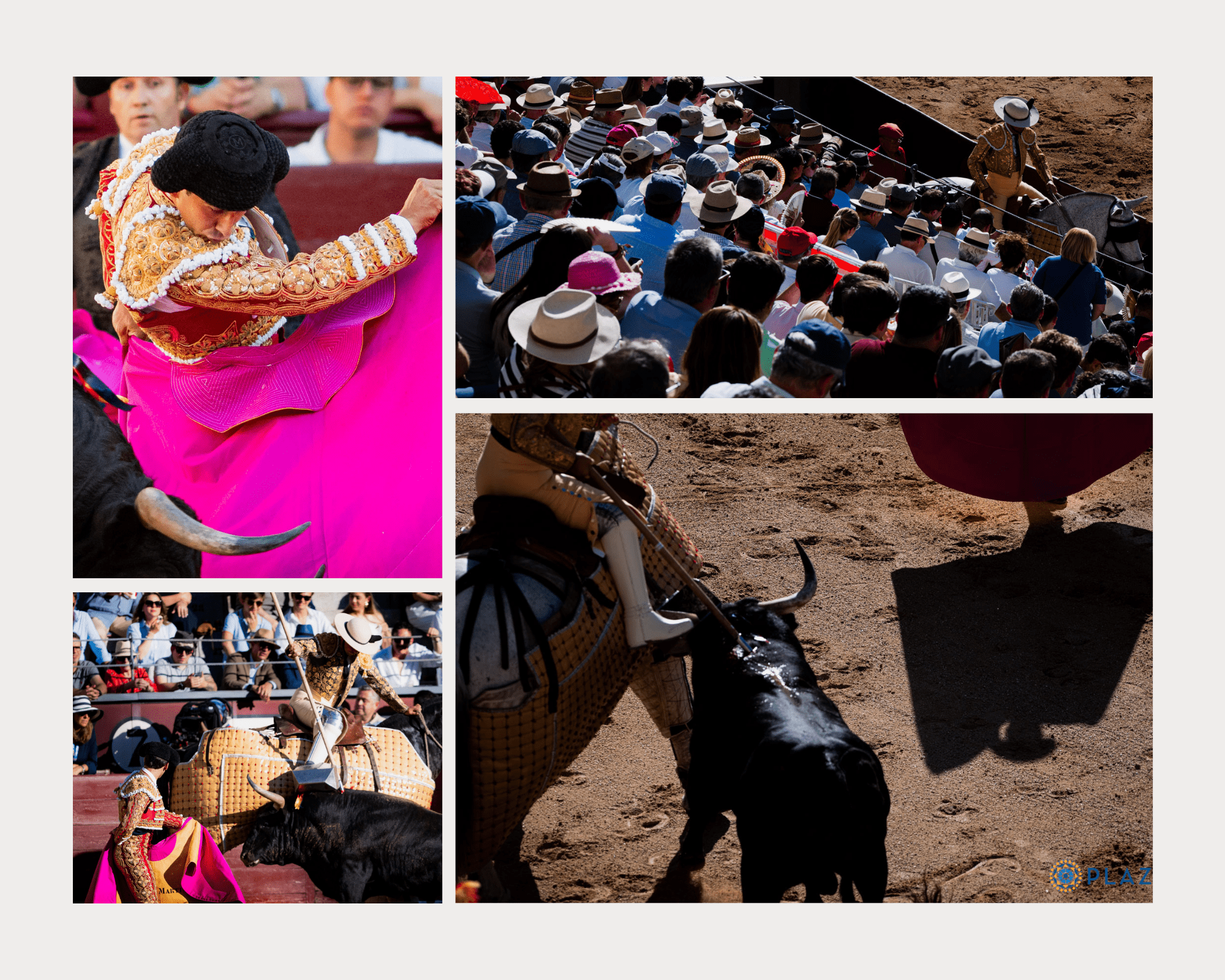 El mosaico de TOROLIVE de la corrida de Montalvo: valor y una tarde contra las dificultades
