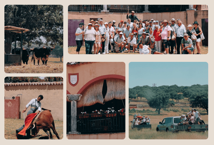 Los abonados Premium de Burgos viven el campo bravo en la ganadería de Loreto Charro antes de la Feria de San Pedro