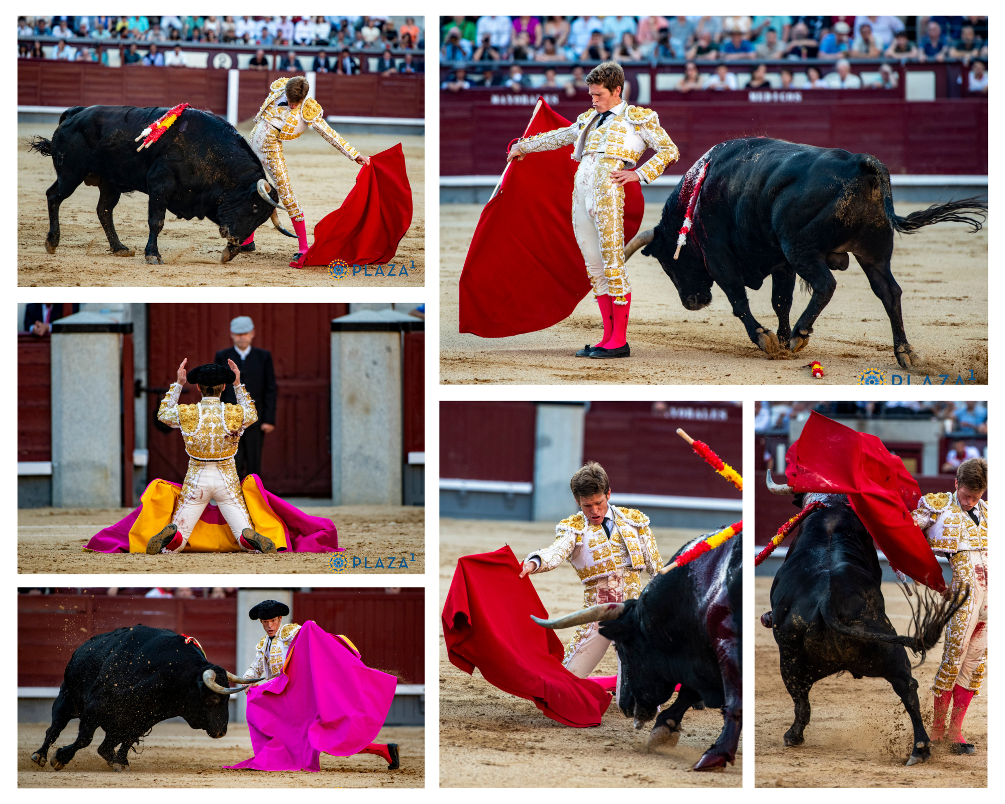 El mosaico de TOROLIVE de la encerrona de Borja Jiménez: una tarde de entrega y una vuelta al ruedo de peso en Madrid