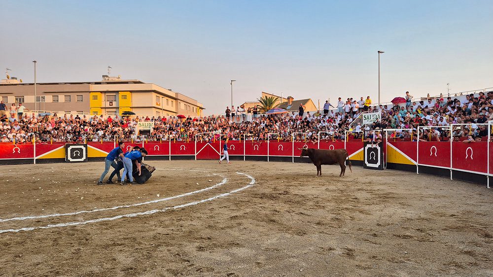Torosocial volverá a gestionar la feria taurina de Pedrola 2026