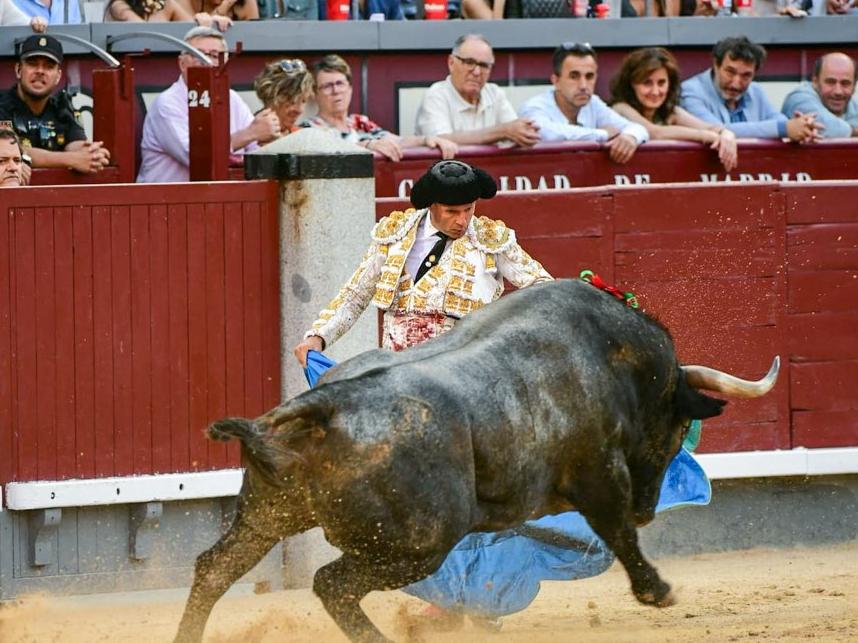 ¿QUÉ ES LA GENIALIDAD?