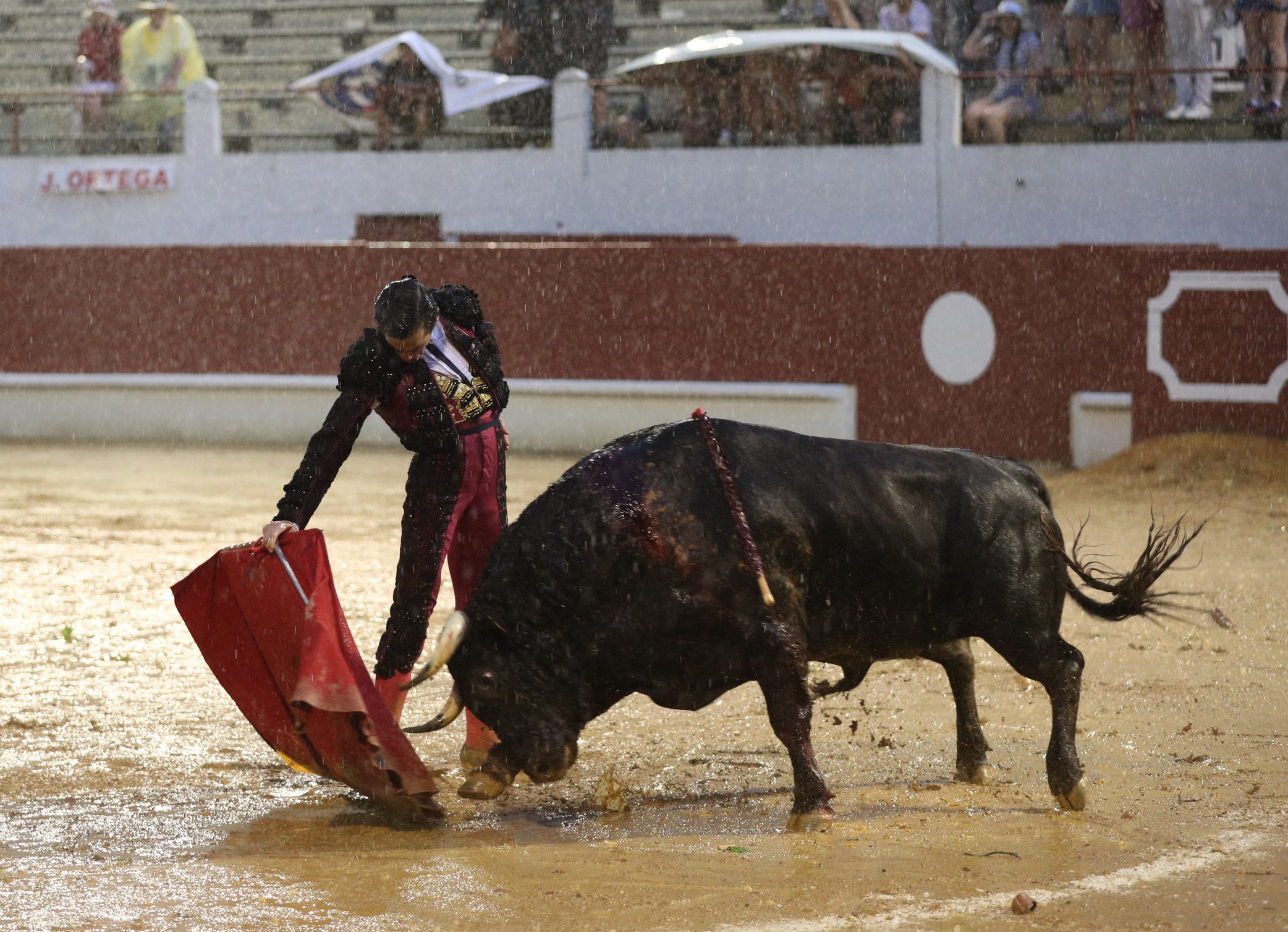 Castella y Ortega triunfan bajo la lluvia en una corrida suspendida en Saint-Sever