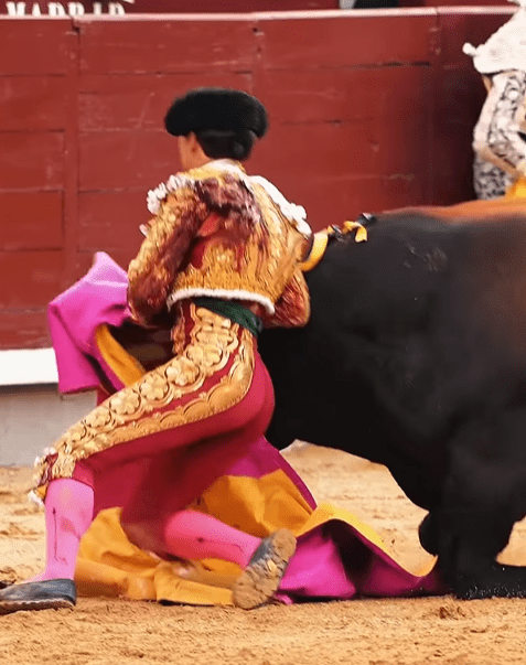 Tremendo susto a Ismael Martín en Las Ventas: fuerte voltereta al recibir al quinto de Montalvo