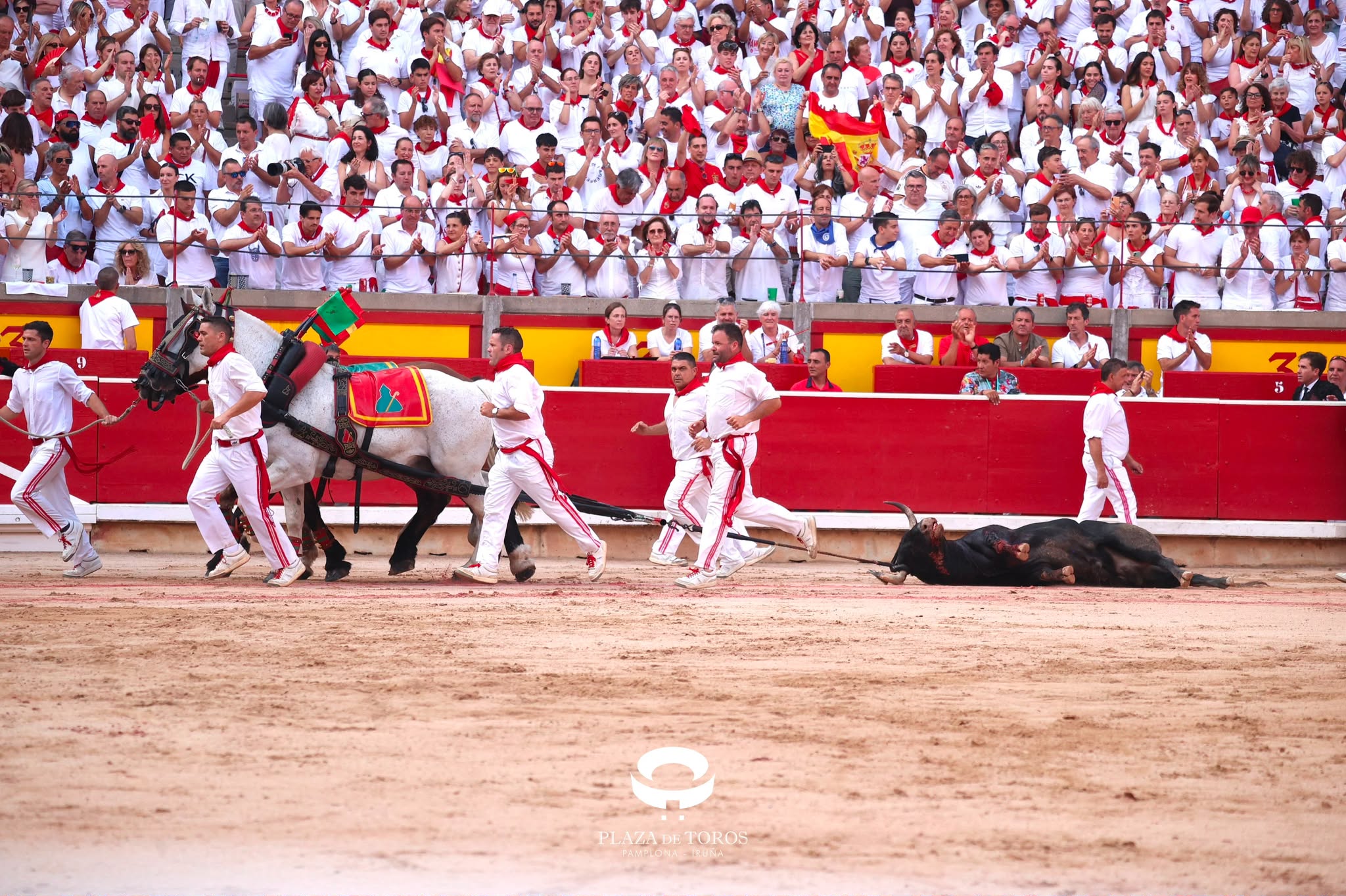 Jandilla-Vegahermosa, premio a la ganadería de la Feria del Toro de Pamplona