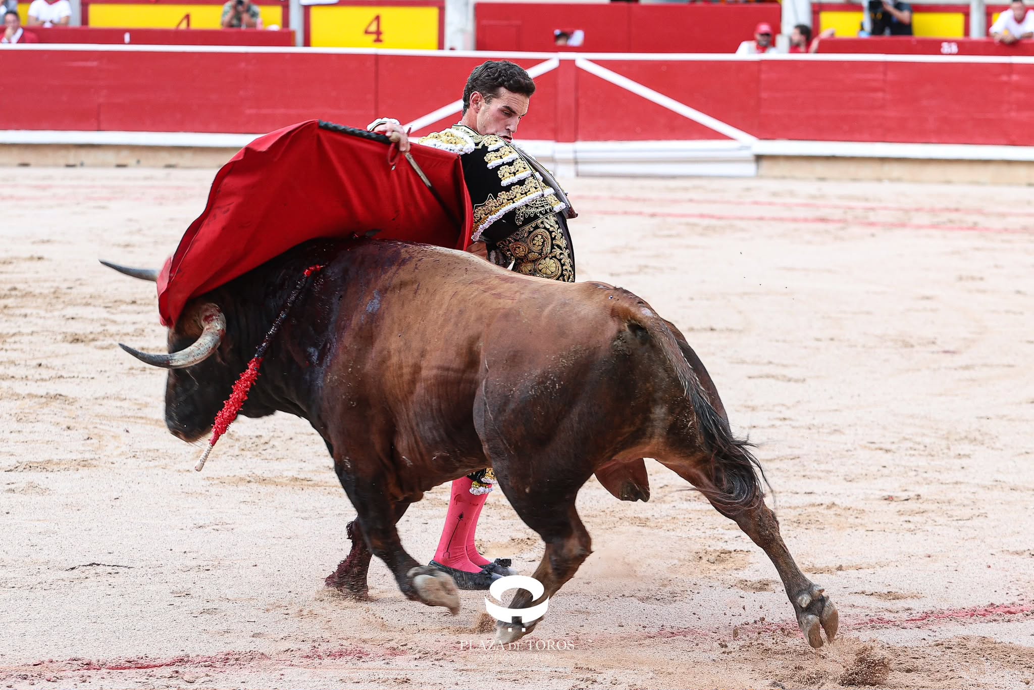 Fernando Adrián encuentra el triunfo con ‘Jubiloso’, un buen toro de La Palmosilla