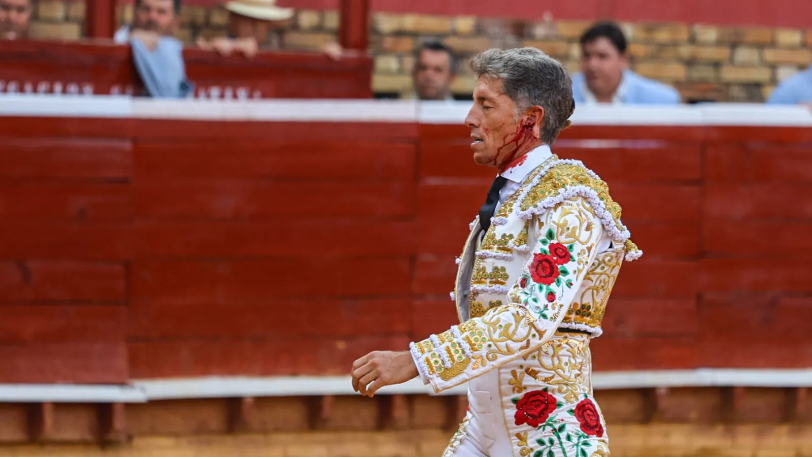 Manuel Escribano sufre un desgarro en el lóbulo de la oreja al banderillear y vuelve al ruedo tras ser intervenido