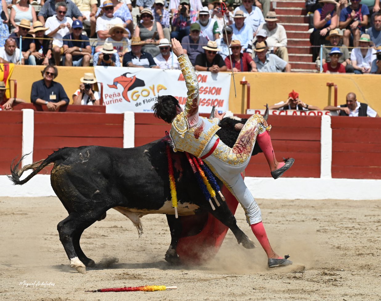 Mario Vilau será examinado tras sufrir un fuerte pitonazo en la rodilla en Céret