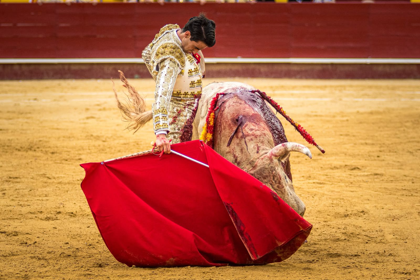 Una sosa novillada de Talavante no da opción a la terna