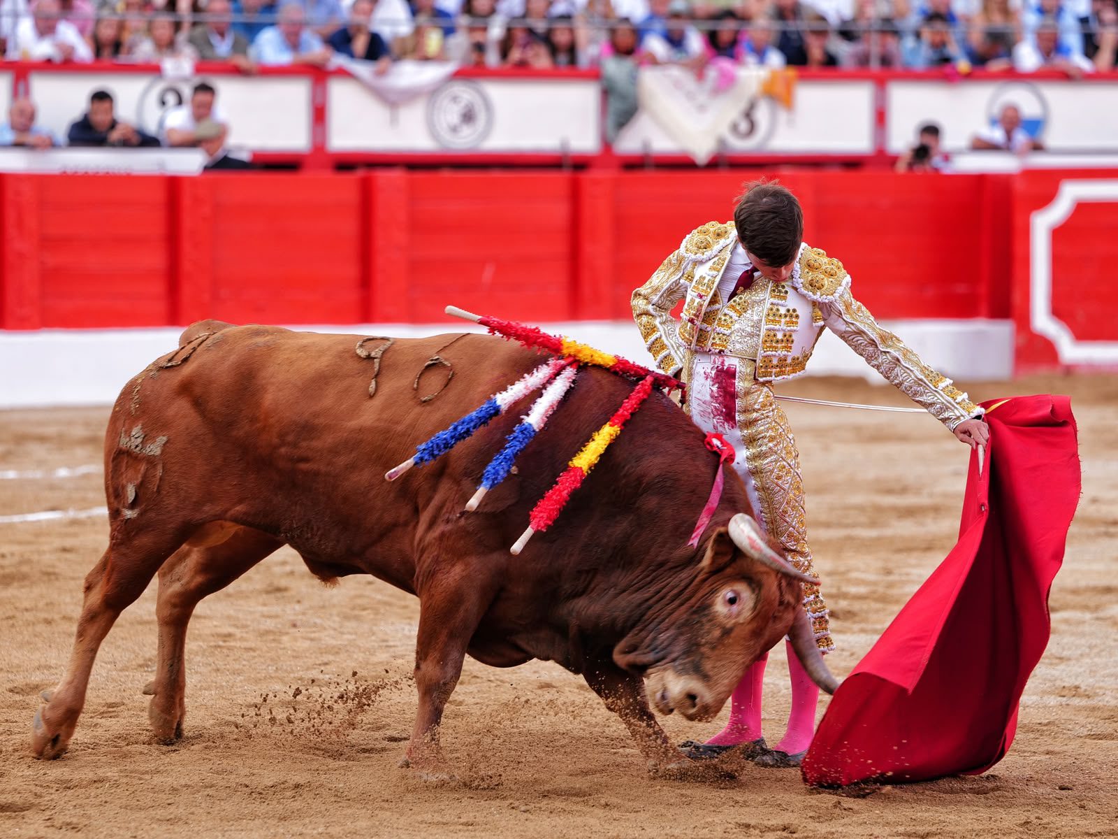 Aarón Palacio se reivindica ante Morante y Marco Pérez paga con sangre su entrega