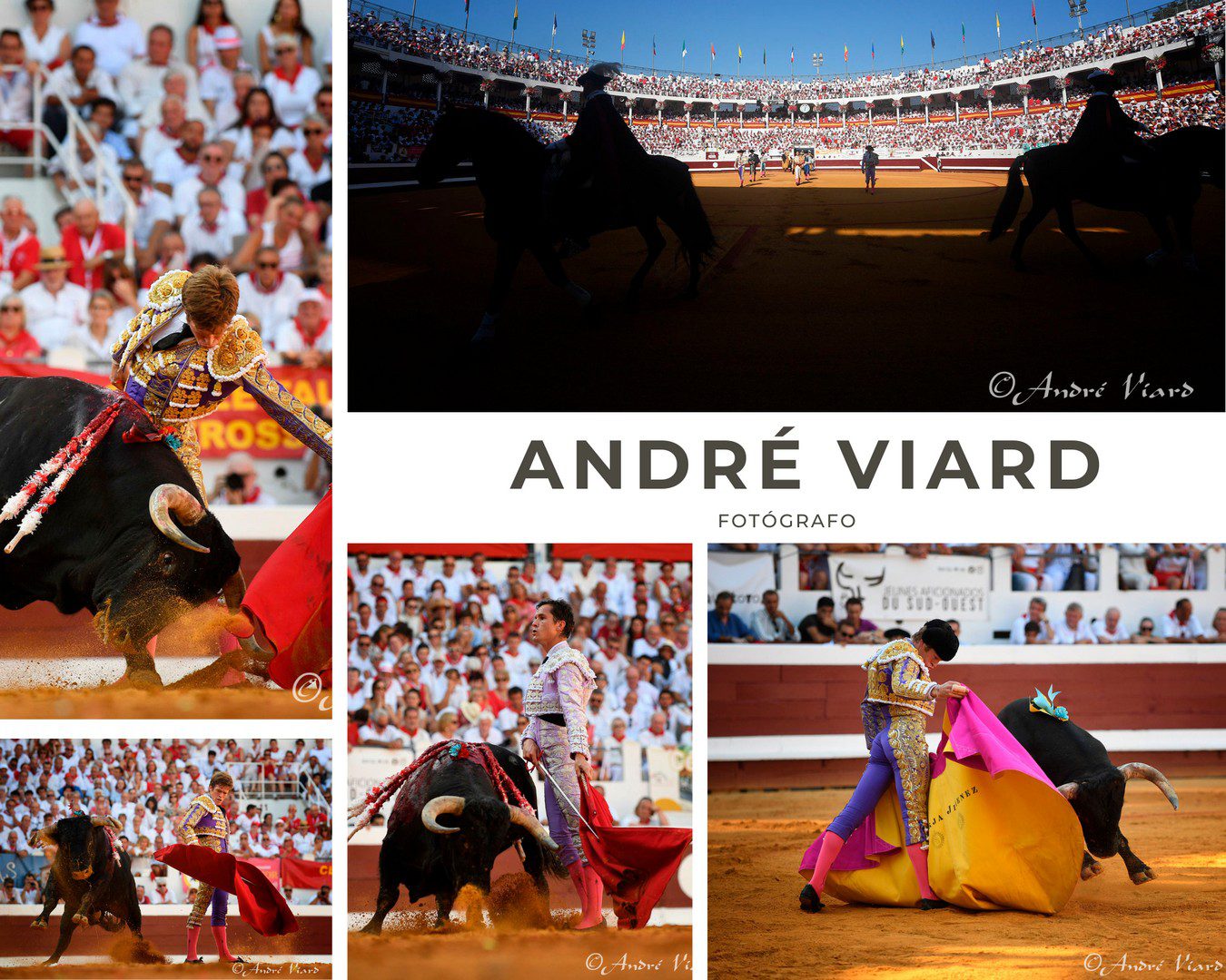 Dax 2026 - André Viard