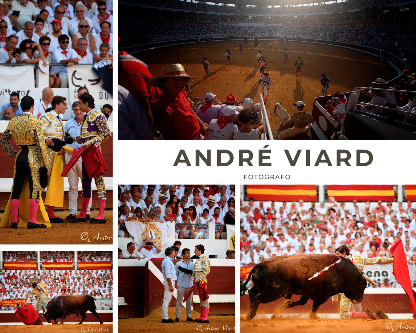 Dax 2026 - André Viard