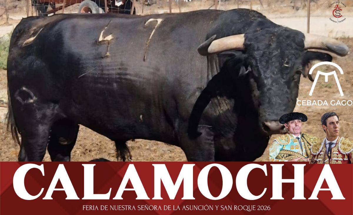 Cebada Gago debutará en Calamocha con una corrida de imponente presencia