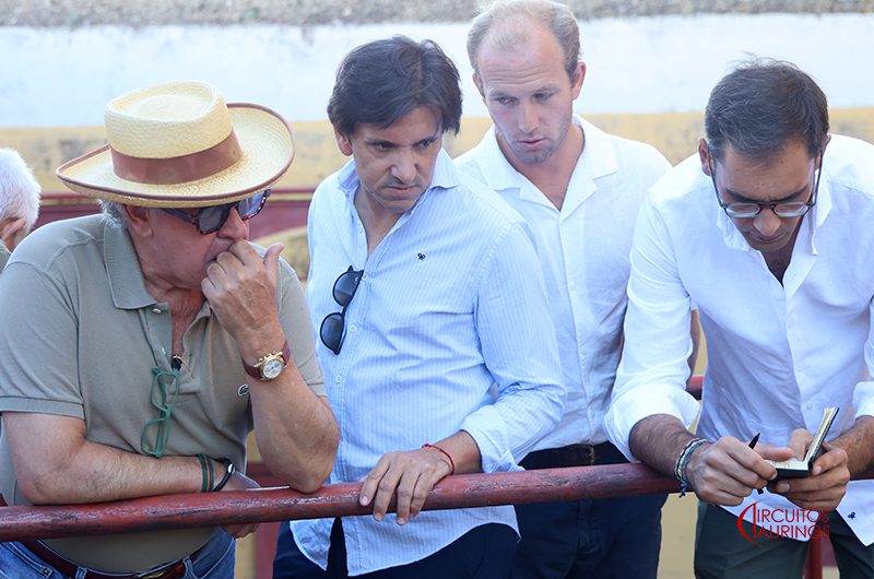 Toros de San Pelayo en los corrales de la Plaza Real 1