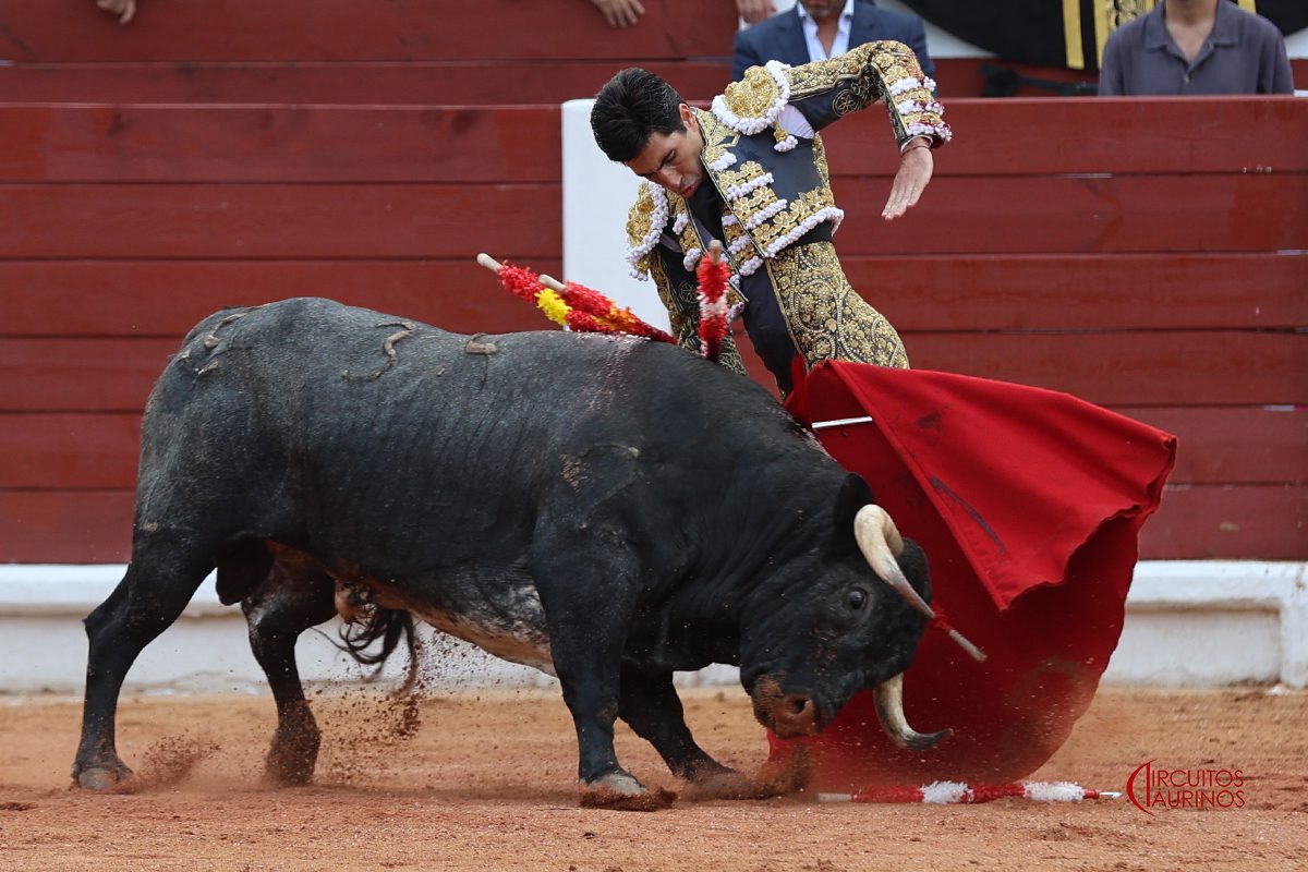 Gijón 13 de agosto de 2026