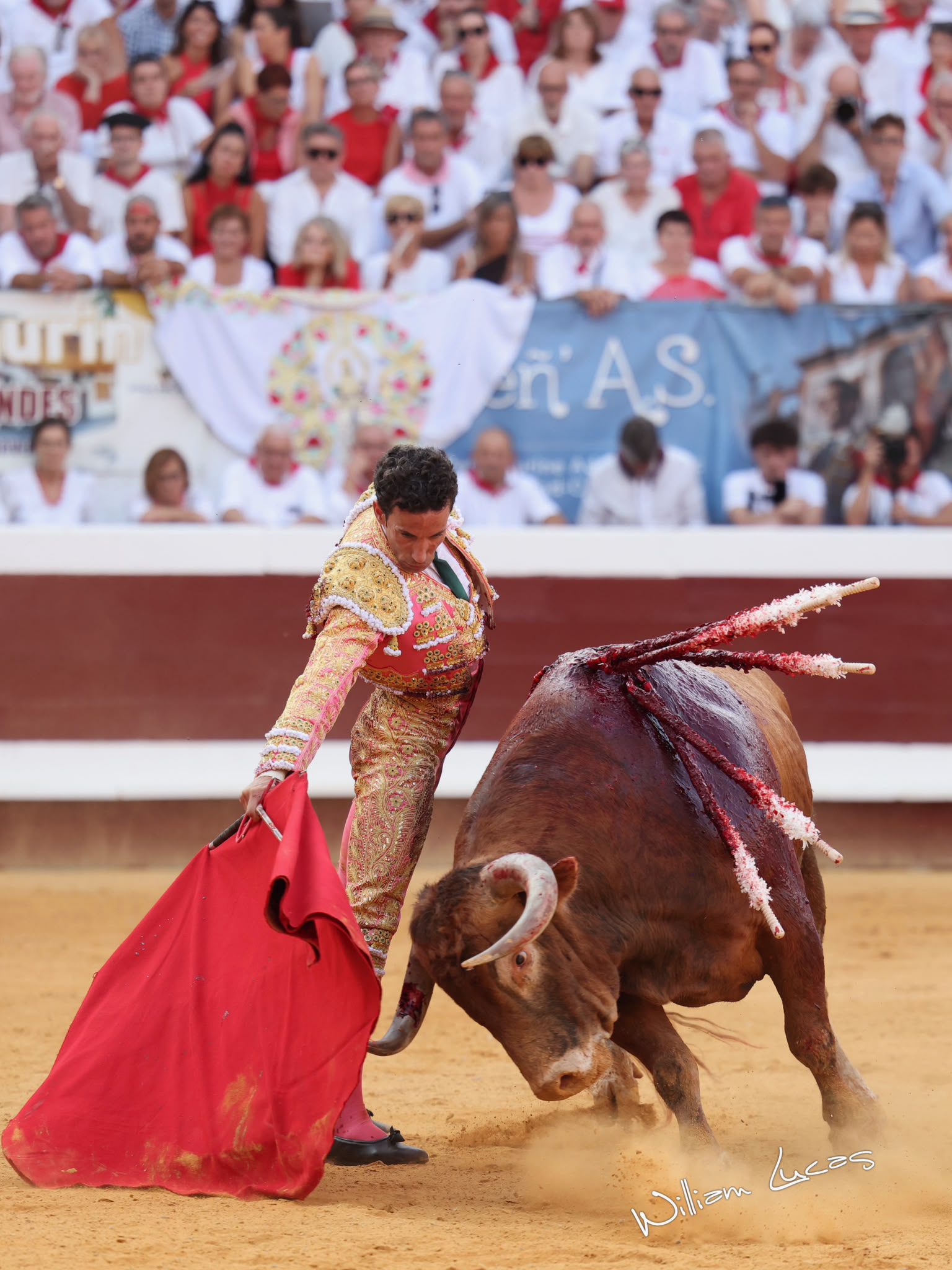 David de Miranda cuaja al quinto hasta que una lesión corta el vuelo de la faena