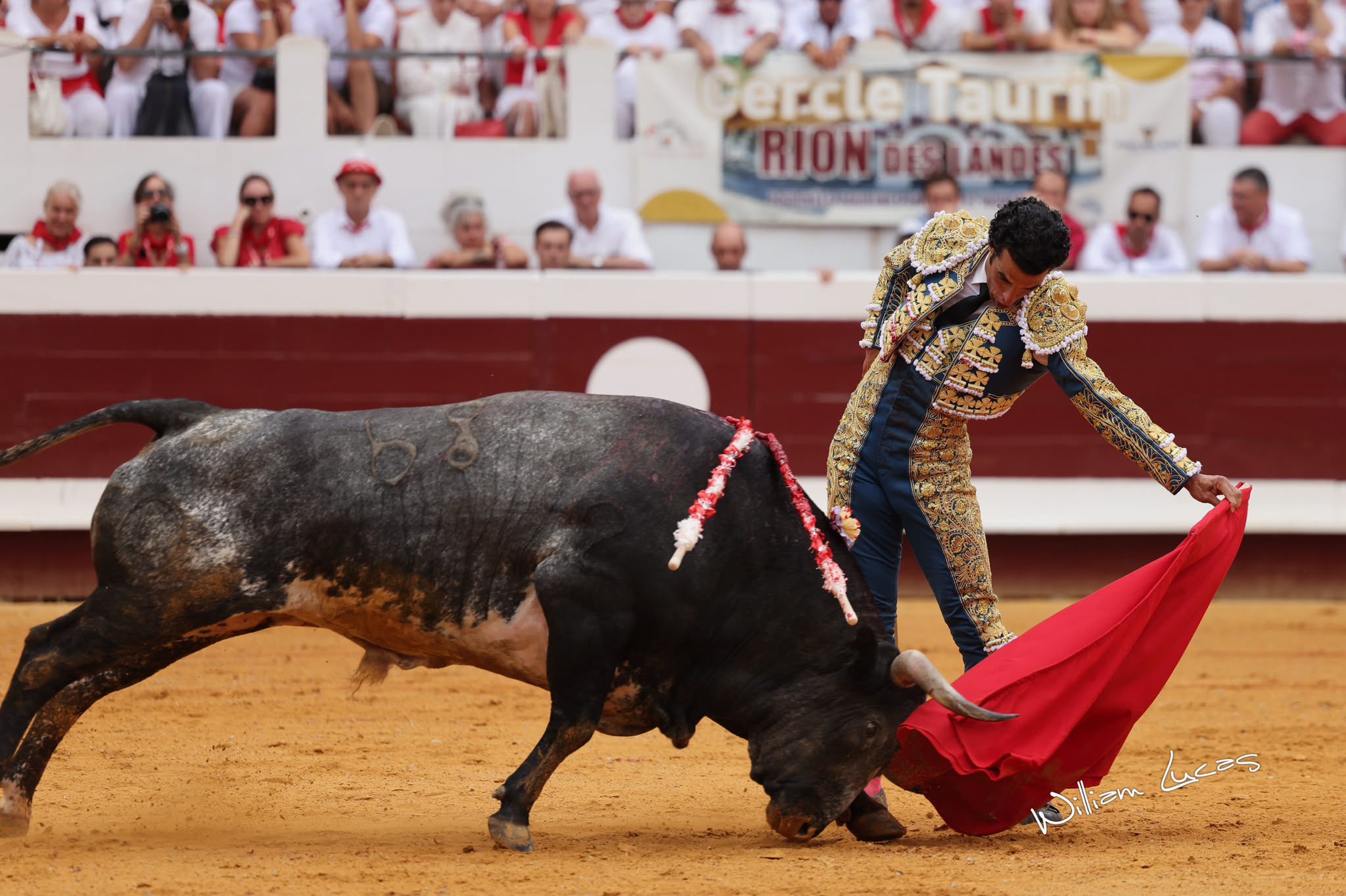 Morenito encuentra el mejor pitón del primero y pierde el premio con el descabello