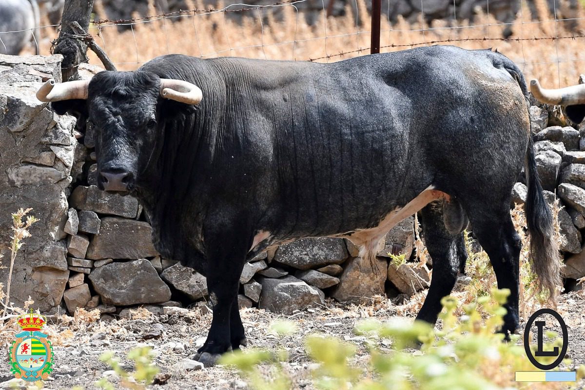 1º Huertano de Ana Romero