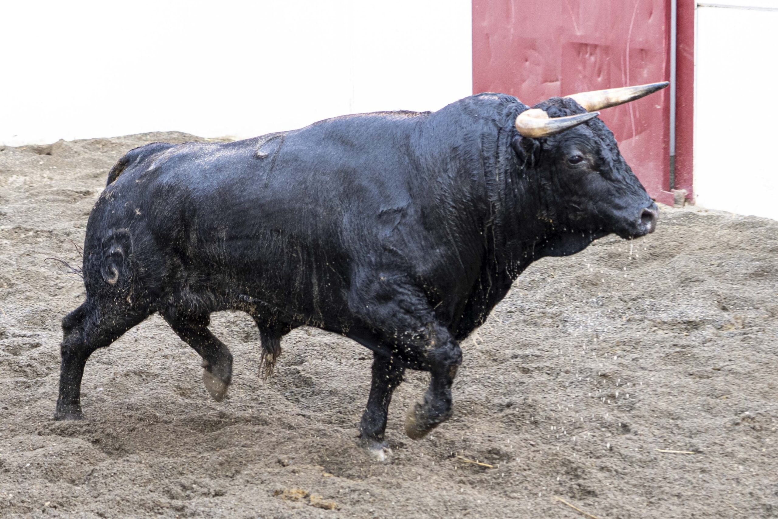 3.º Escultor