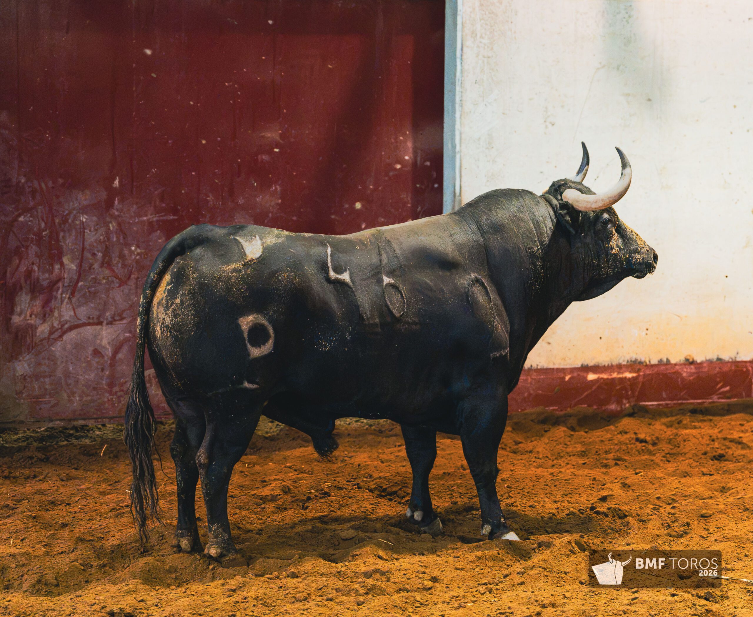 5.º Pianero
