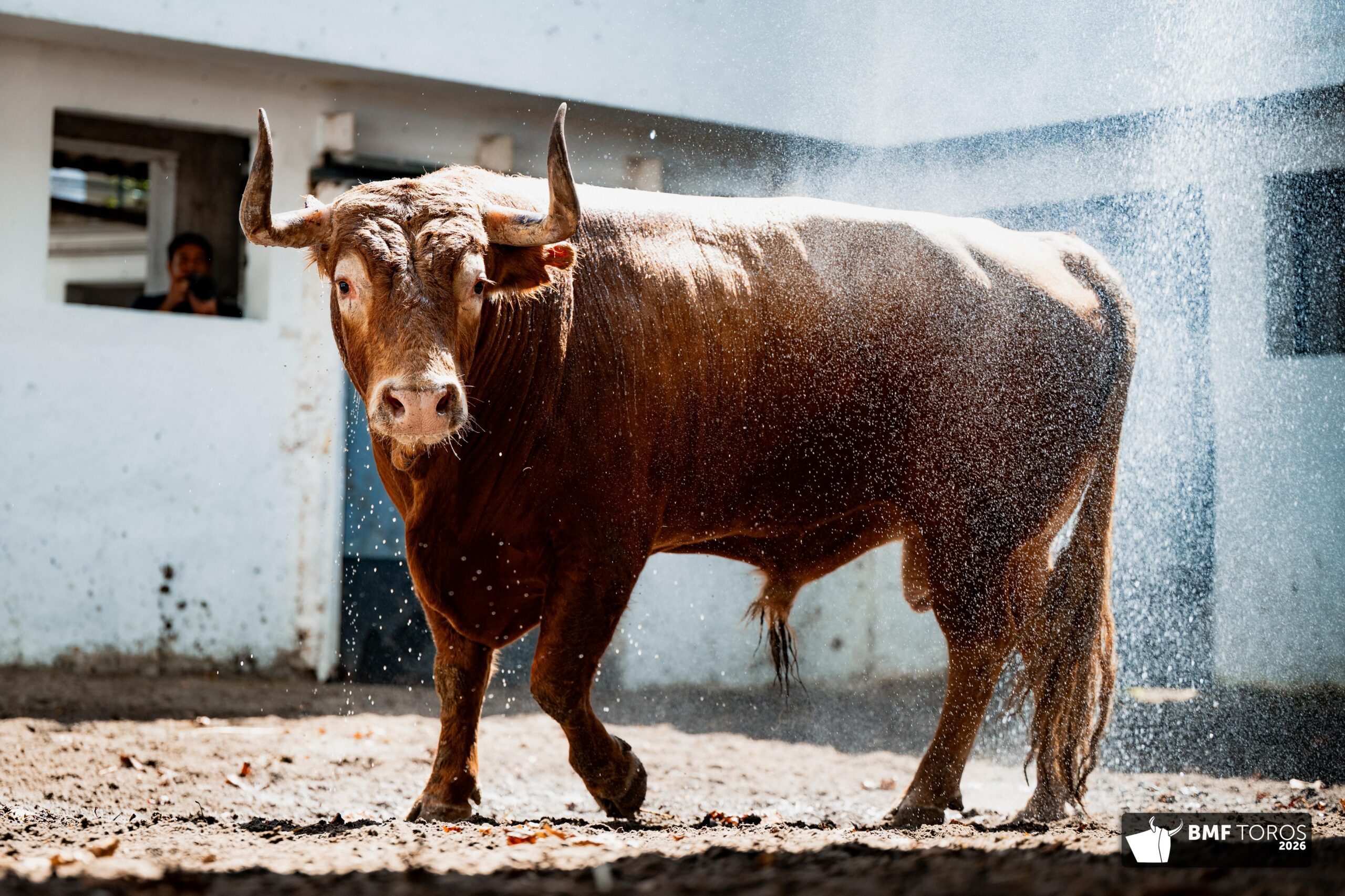 Prudente, sexto toro de Garcigrande