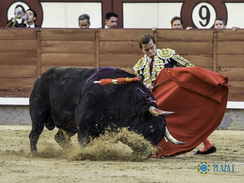 Javier Cortés vuelve a Las Ventas con una nueva oportunidad para reivindicarse