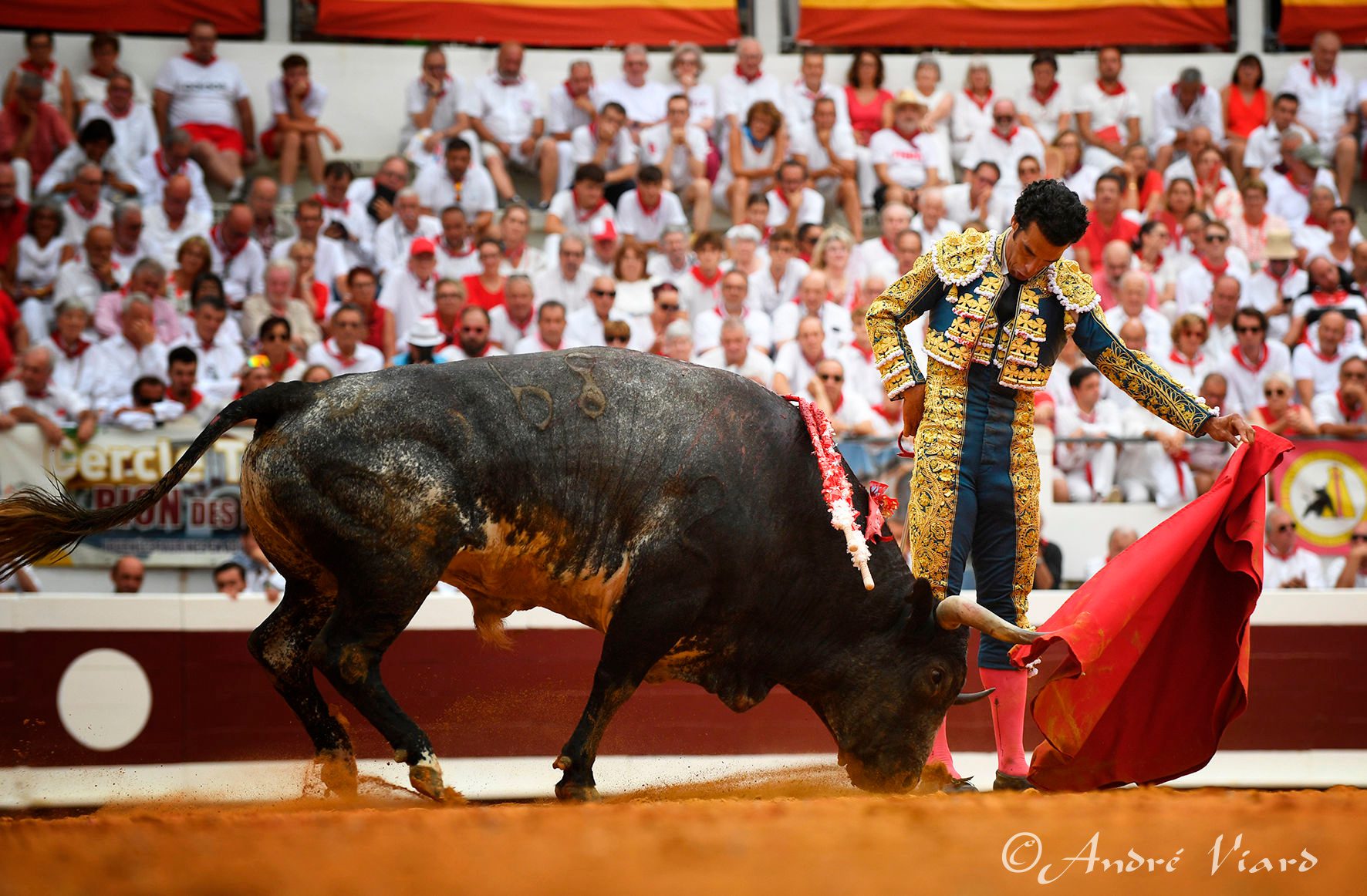 Morenito de Aranda marca el pulso de una seria corrida de Ana Romero en Dax