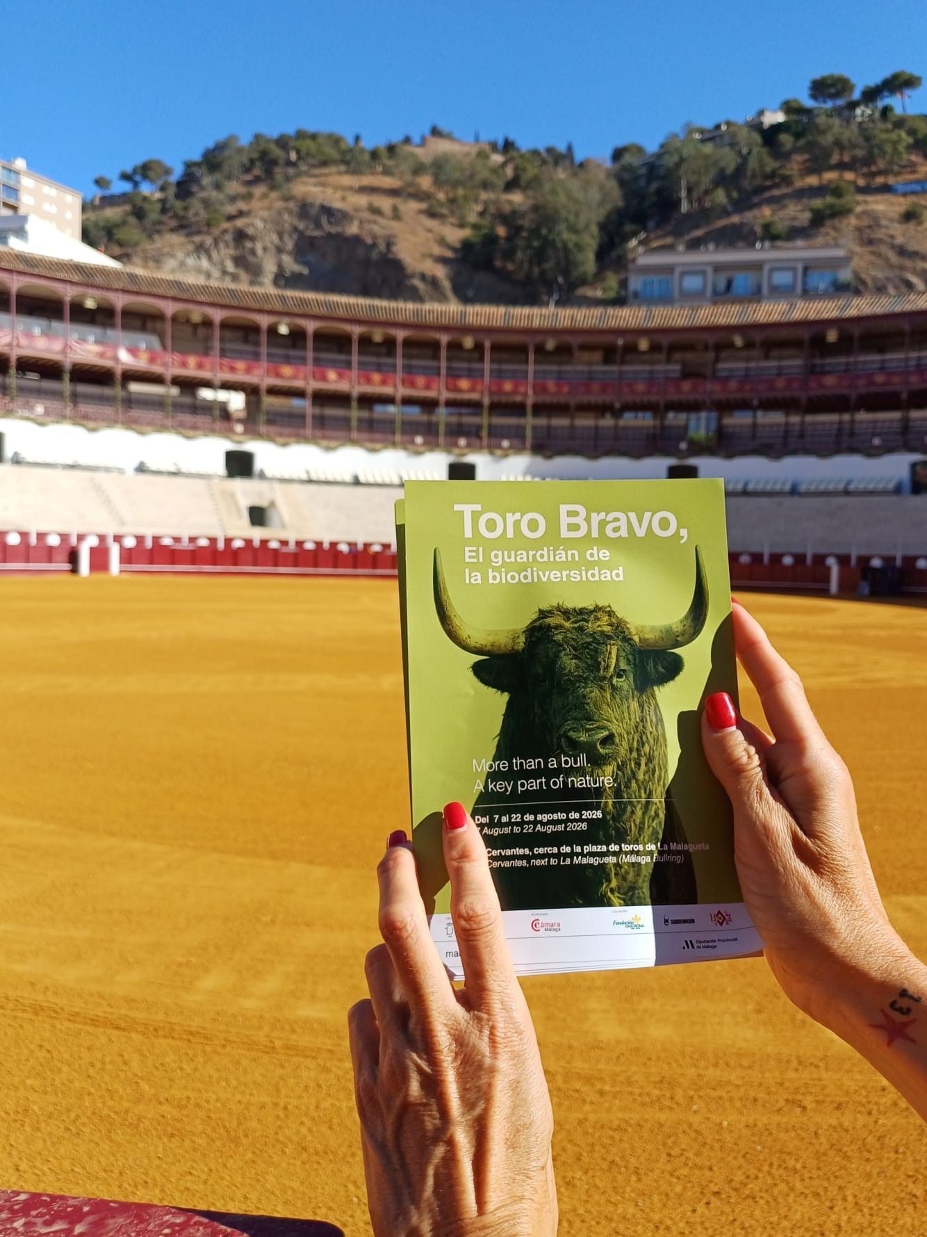 Málaga se prepara para descubrir al toro bravo como guardián de la biodiversidad