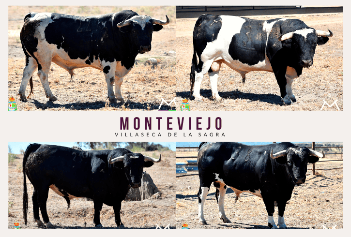 Monteviejo pondrá a prueba a nueve especialistas del recorte mañana en Villaseca
