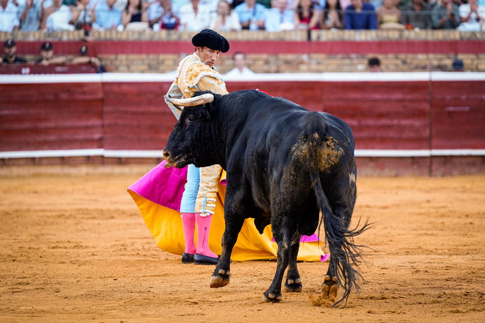 David de Miranda reina en el cuadro de honor de las Colombinas 2026