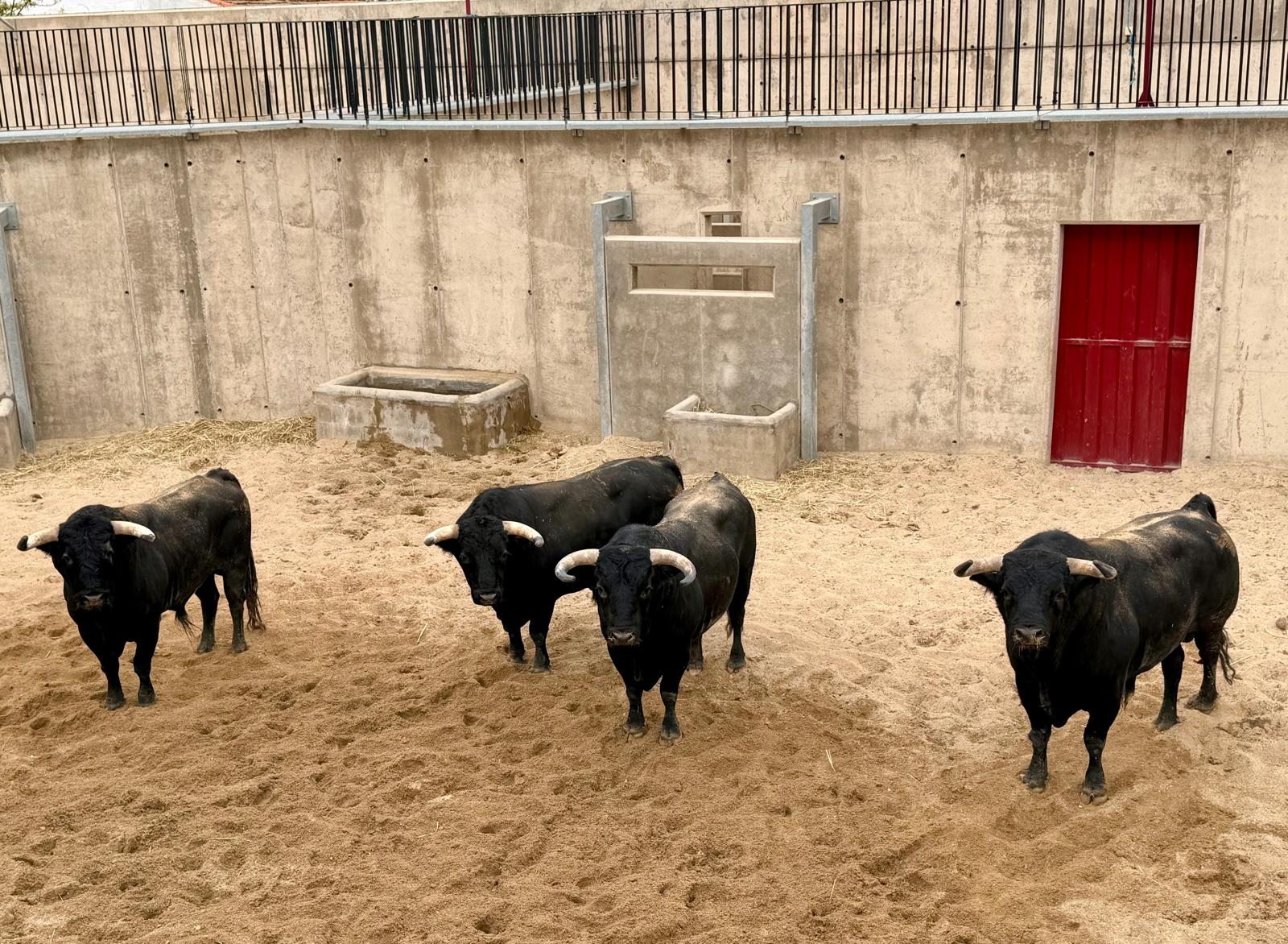 Sorteados dos de Ángel Sánchez y Sánchez y cuatro de Victoriano del Río para cerrar la feria de Ciudad Real
